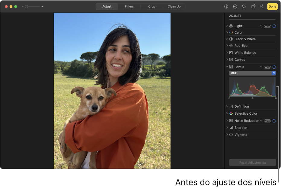 Uma fotografia antes dos ajustes de níveis.