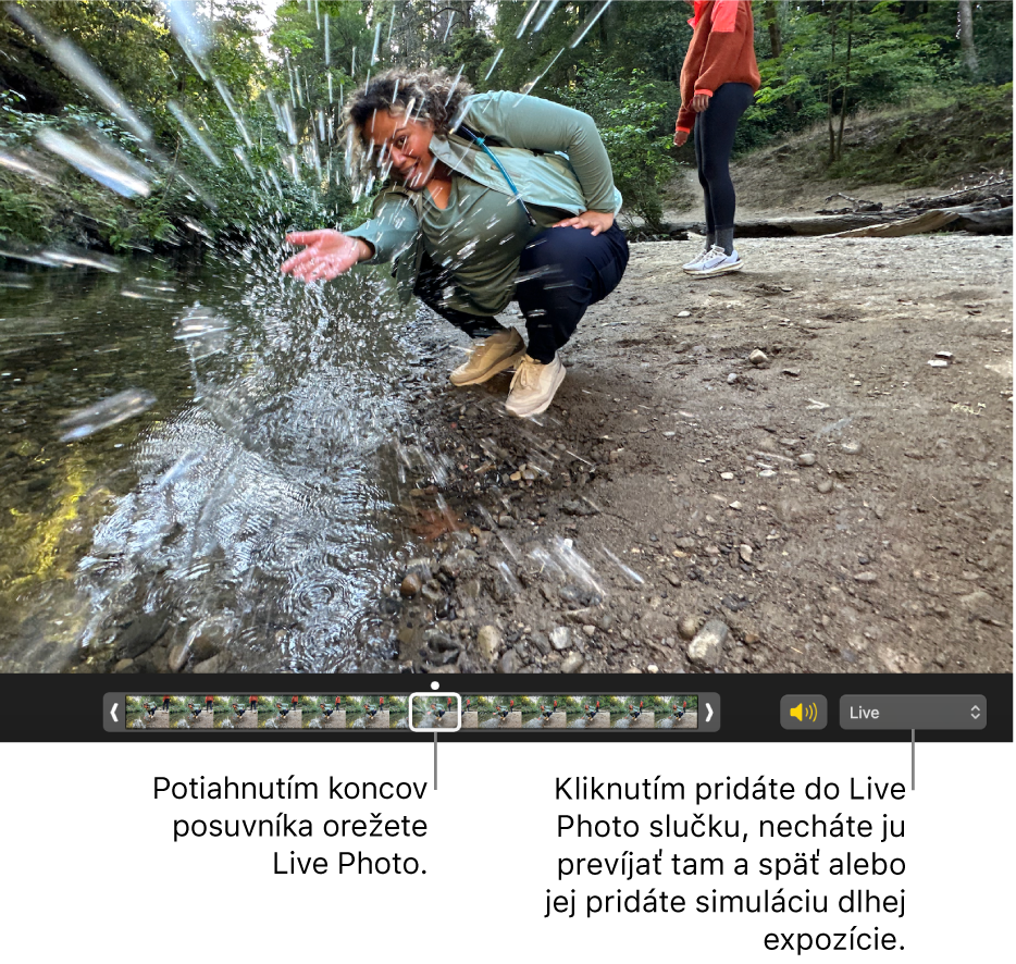 Fotka Live Photo v zobrazení úprav s posuvníkom pod fotkou, ktorý zobrazuje snímky fotky. Napravo od posuvníka je tlačidlo Reproduktor a vyskakovacie menu, ktoré môžete použiť na pridanie slučky, odrazenia alebo efektu dlhej expozície.