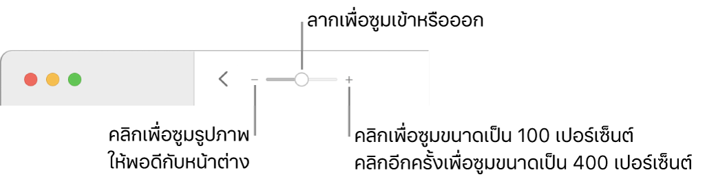 แถบเครื่องมือแสดงตัวควบคุมการซูม