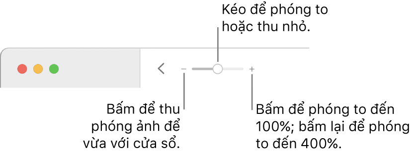 Thanh công cụ đang hiển thị các điều khiển thu phóng.