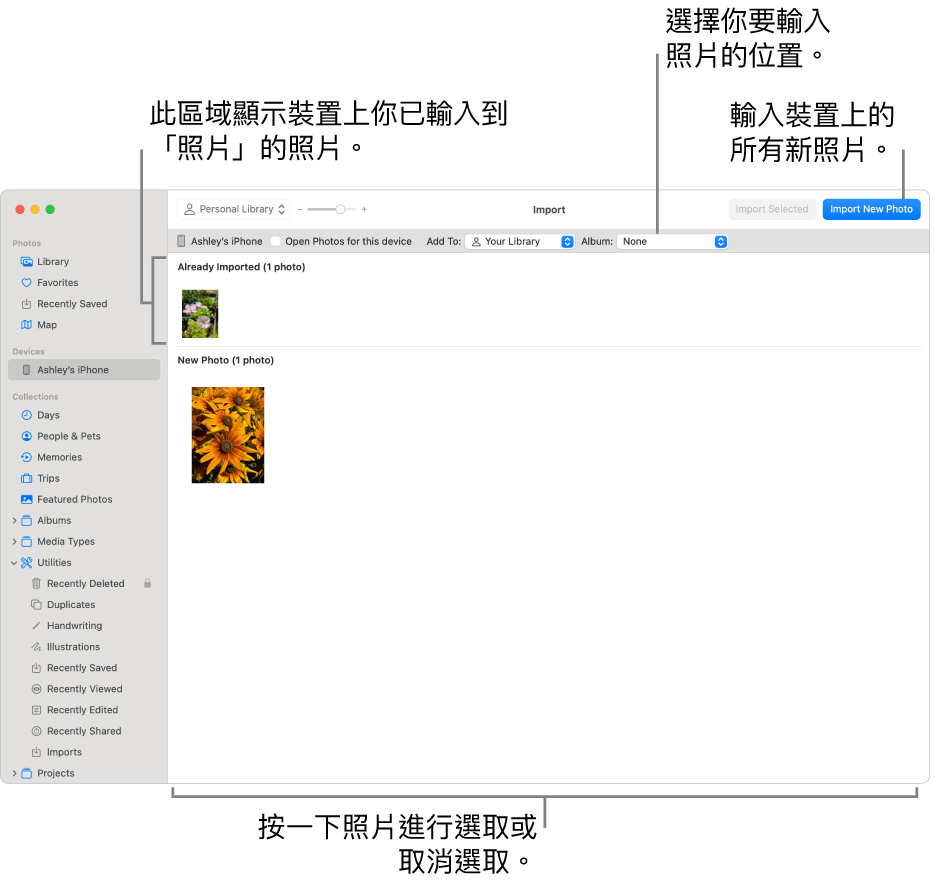 你已從裝置輸入的照片會顯示在「輸入」視窗最上方；新照片位於底部。最上方中間是「相簿」彈出式選單。「輸入」按鈕位於右上角。