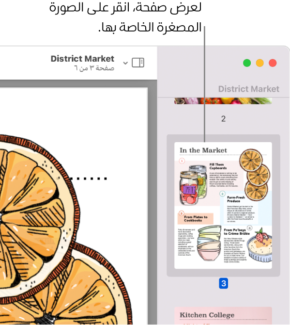 مستند PDF يحتوي على صور مصغرة تظهر في الشريط الجانبي.