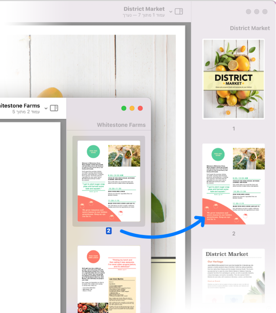 תמונה ממוזערת של עמוד נגררת מסרגל הצד של PDF אחד לסרגל הצד של PDF אחר.