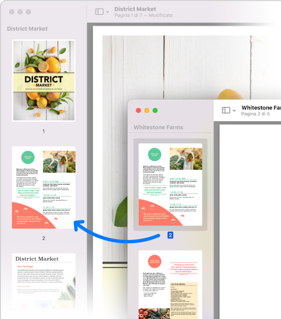 La miniatura di una pagina viene trascinata dalla barra laterale di un PDF alla barra laterale di un altro.
