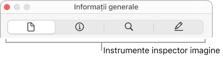 Instrumentele inspectorului de imagini.