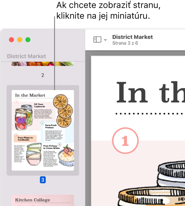 Súbor PDF s miniatúrami zobrazenými v postrannom paneli.