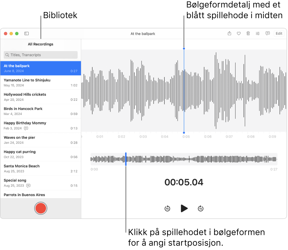 Taleopptak-appen viser opptakene i biblioteket til venstre. Det markerte opptaket vises i vinduet til høyre for listen, som en detaljert bølgeform med et blått spillehode i midten. Under opptaket er det en bølgeformoversikt.