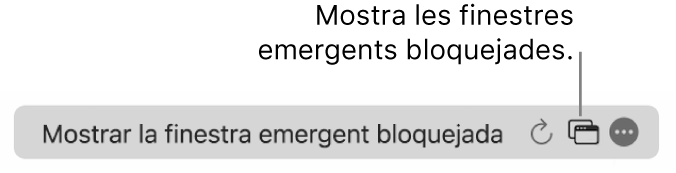 El camp de cerca intel·ligent amb una icona per mostrar les finestres emergents bloquejades.