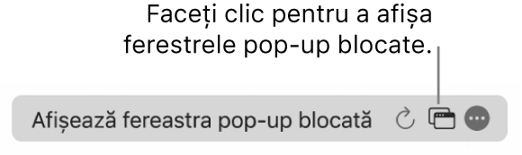 Câmpul de căutare inteligentă cu o pictogramă pentru a afișa ferestrele pop‑up blocate.