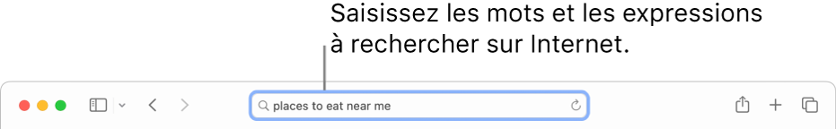 Le champ de recherche intelligente de Safari, dans lequel vous pouvez saisir des mots et expressions à rechercher sur Internet.