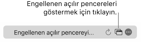 Engellenen açılır pencereleri göstermeye yönelik bir düğme ile akıllı arama alanı.