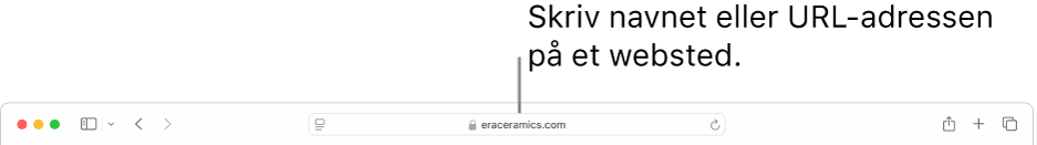 Det smarte søgefelt i Safari, hvor du kan skrive et websteds navn eller URL-adresse.