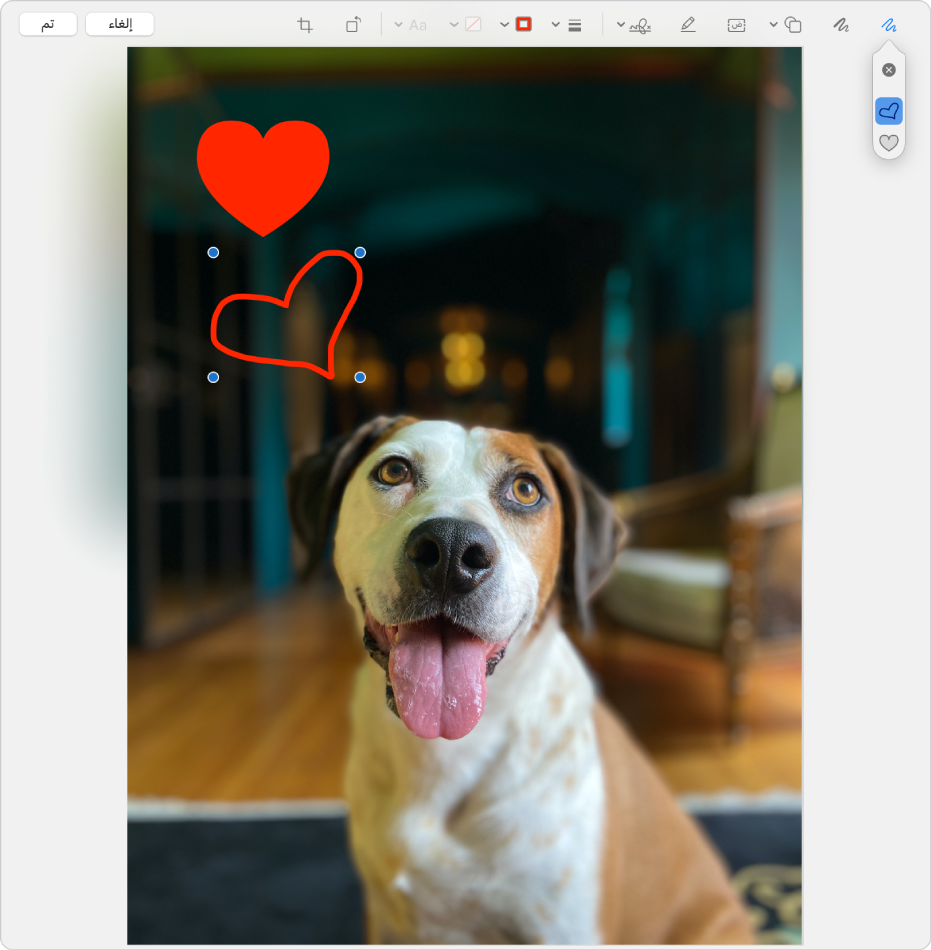 صورة مرسوم عليها قلب باستخدام أدوات التوصيف.