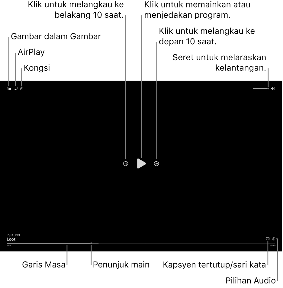 Kawalan main balik dalam pemapar, termasuk butang untuk memainkan atau menjeda, melangkau ke depan atau ke belakang dan melaraskan kelantangan.