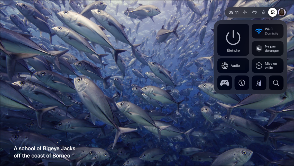 Écran de l’Apple TV affichant le centre de contrôle.