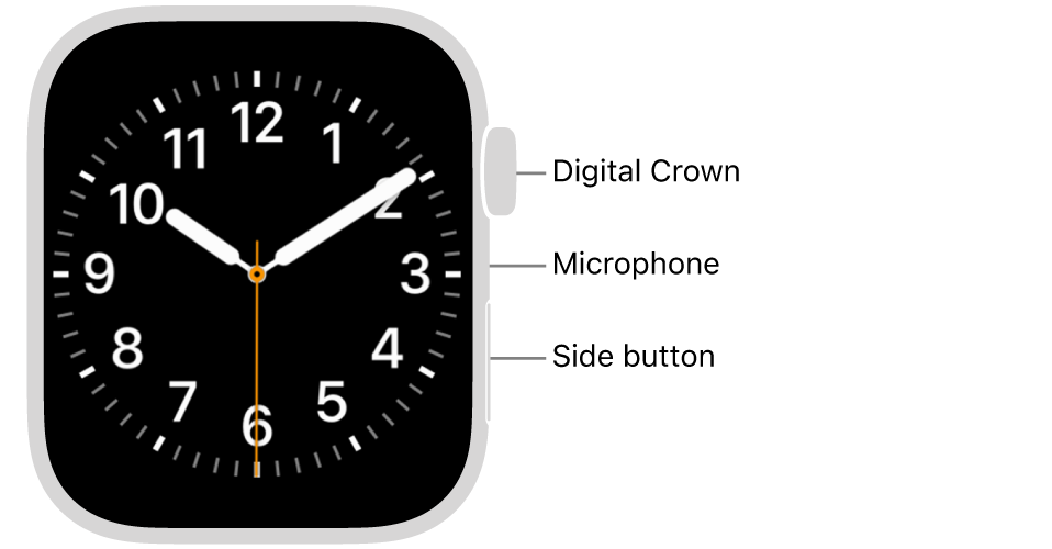 The front of Apple Watch Series 9, with the display showing the watch face, and the Digital Crown, microphone, and side button from top to bottom on the side of the watch.