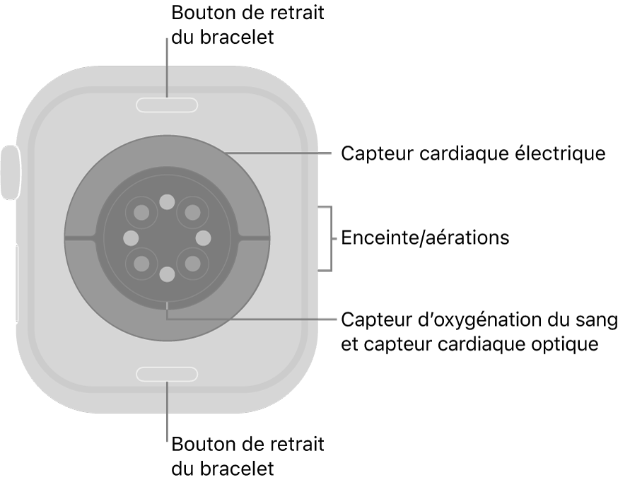 L’arrière de l’Apple Watch Series 10, avec les boutons de retrait du bracelet en haut et en bas, les capteurs électriques de fréquence cardiaque, les capteurs optiques de fréquence cardiaque et les capteurs d’oxygénation du sang au milieu, ainsi que le haut-parleur et les aérations sur le côté.