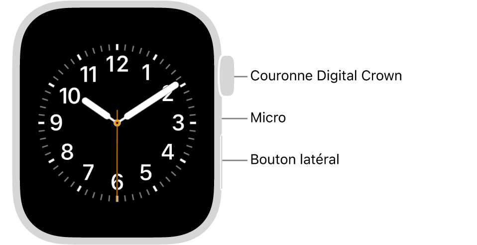 L’avant de l’Apple Watch Series 6, avec l’écran affichant le cadran, et sur le côté de la montre, de haut en bas, la Digital Crown, le micro et le bouton latéral.