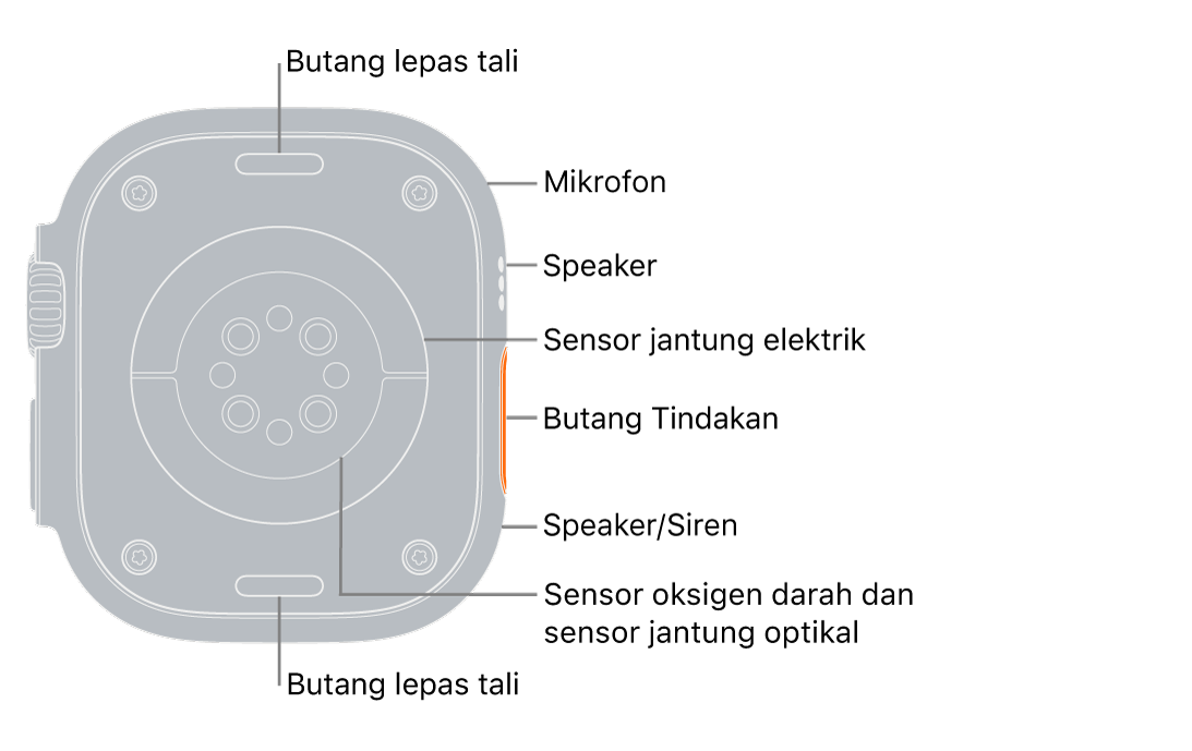 Belakang Apple Watch Ultra, dengan butang lepaskan tali di atas dan bawah. Di sisi, titik petak bual ke mikrofon, speaker, sensor jantung elektrik, butang Tindakan, port speaker dari tempat siren dipancarkan, sensor oksigen darah dan sensor jantung optikal.