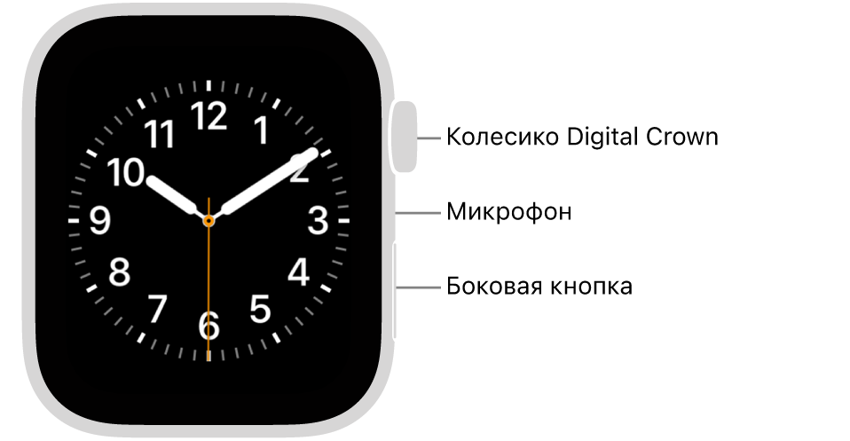 Лицевая сторона Apple Watch (2-го поколения). На дисплее показан циферблат. Сбоку на корпусе часов показаны (сверху вниз): колесико Digital Crown, микрофон и боковая кнопка.