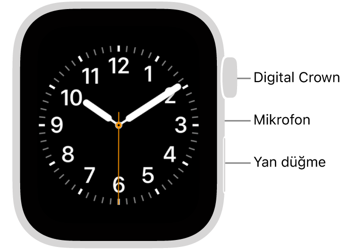 Saatin yan tarafında yukarıdan aşağıya saat kadranını gösteren ekran, Digital Crown, mikrofon ve yan düğme ile Apple Watch (2. Nesil) önü.