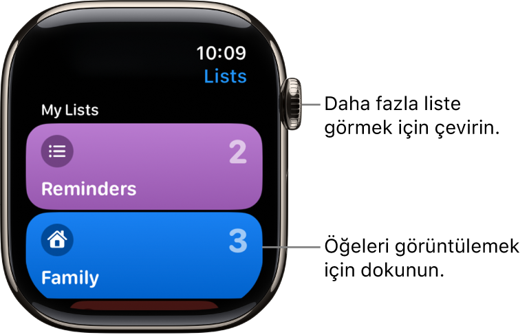 Anımsatıcılar uygulamasındaki Listeler ekranı iki liste düğmesi gösteriyor: Aile ve Ev. Sağ taraftaki sayılar, her listede kaç anımsatıcı olduğunu belirtir. Öğelerini görmek istediğiniz bir listeye dokunun veya daha fazla liste görmek için Digital Crown’u çevirin.
