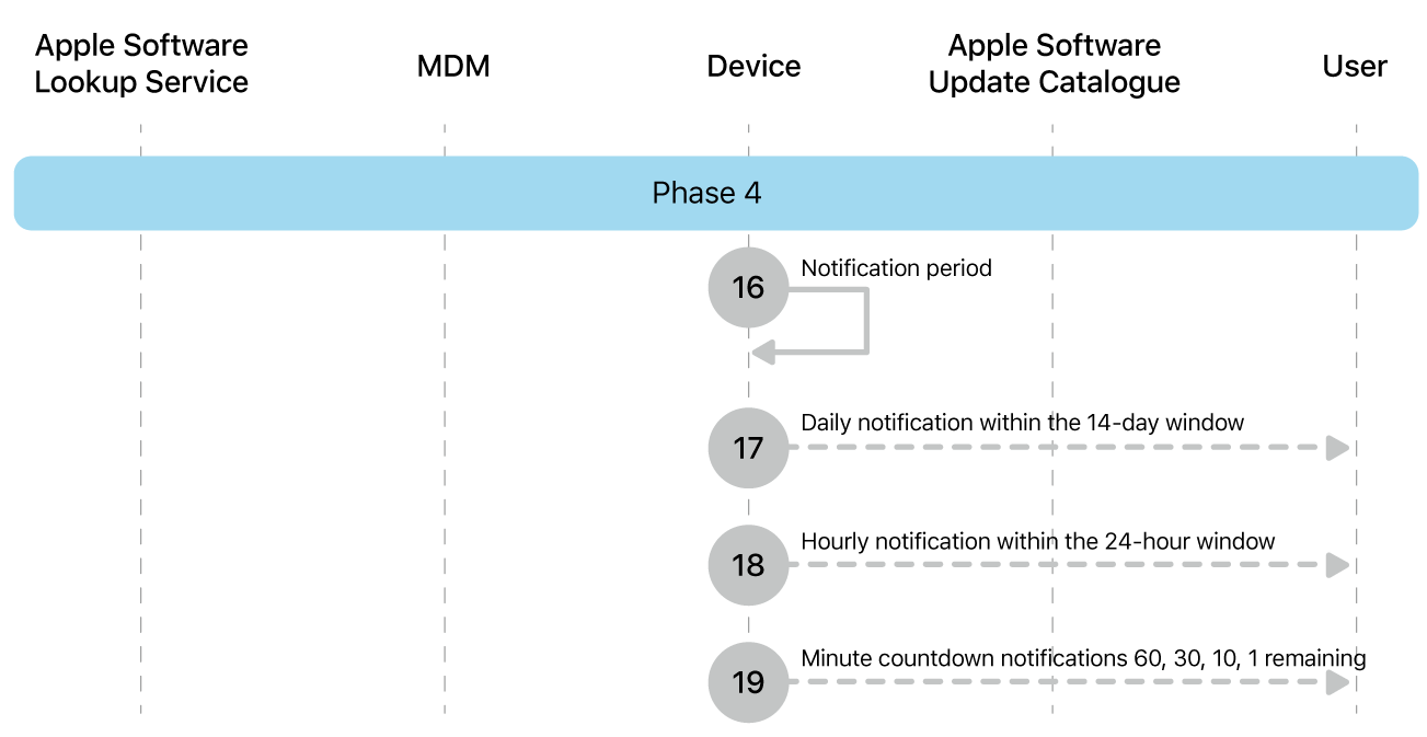 Phase 4 showing steps 16 to 19 of Apple software update enforcement.