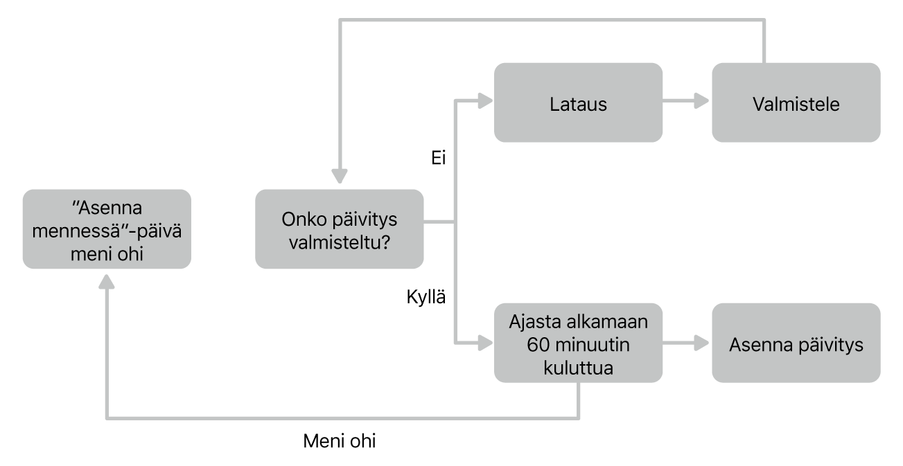 Ohjelmiston päivityskaavio.