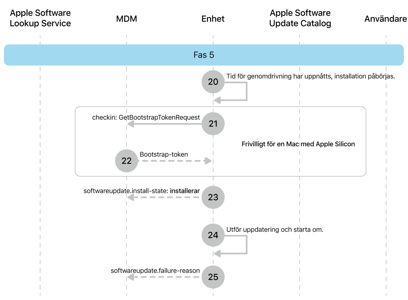 Fas 5 visar steg 20 till 25 i genomdrivingen av Apple-programuppdateringar.