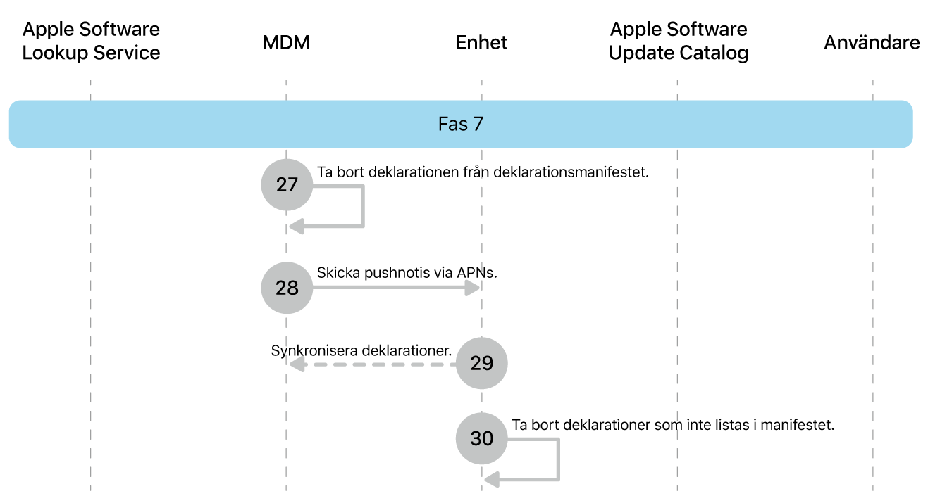 Fas 7 visar steg 27 till 30 i genomdrivingen av Apple-programuppdateringar.