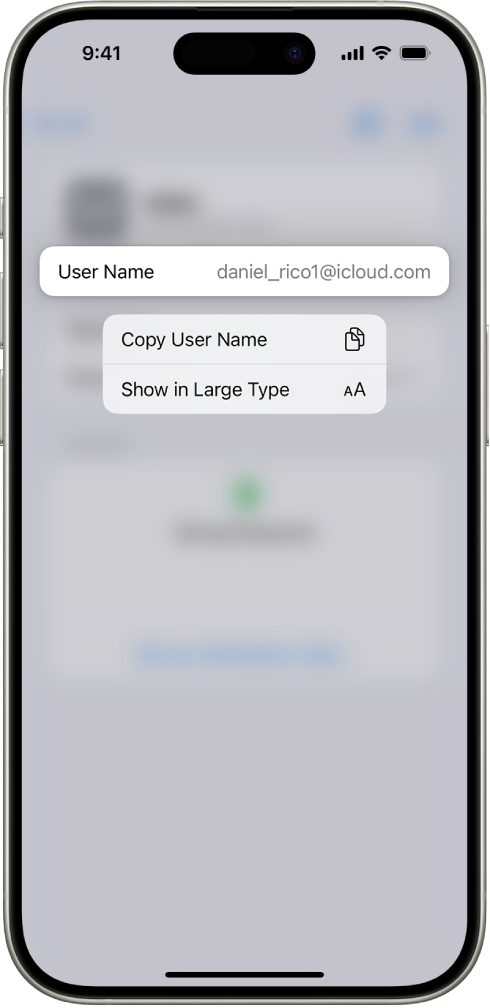 La pantalla de una cuenta mostrando el nombre de usuario resaltado, con las opciones Copiar nombre de usuario y Mostrar números grandes.