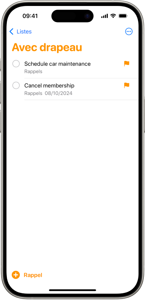 Un écran de Rappels avec une liste intelligente contenant tous les éléments marqués d’un drapeau.