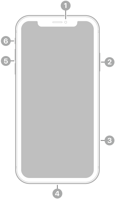 La vue de face de l’iPhone XR. La caméra avant se trouve en haut au centre. Sur le côté droit, de haut en bas, se trouvent le bouton latéral et le support pour carte SIM. Le connecteur Lightning se trouve en bas. Sur le côté gauche, de bas en haut, se trouvent les boutons de volume et le bouton Sonnerie/Silence.