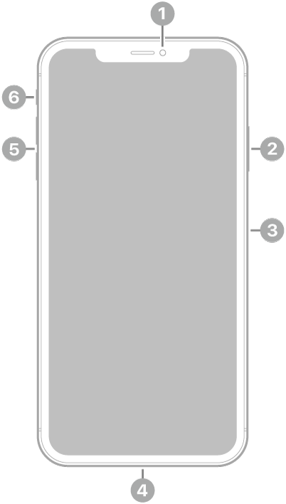 La vue de face de l’iPhone XS Max. La caméra avant se trouve en haut au centre. Sur le côté droit, de haut en bas, se trouvent le bouton latéral et le support pour carte SIM. Le connecteur Lightning se trouve en bas. Sur le côté gauche, de bas en haut, se trouvent les boutons de volume et le bouton Sonnerie/Silence.