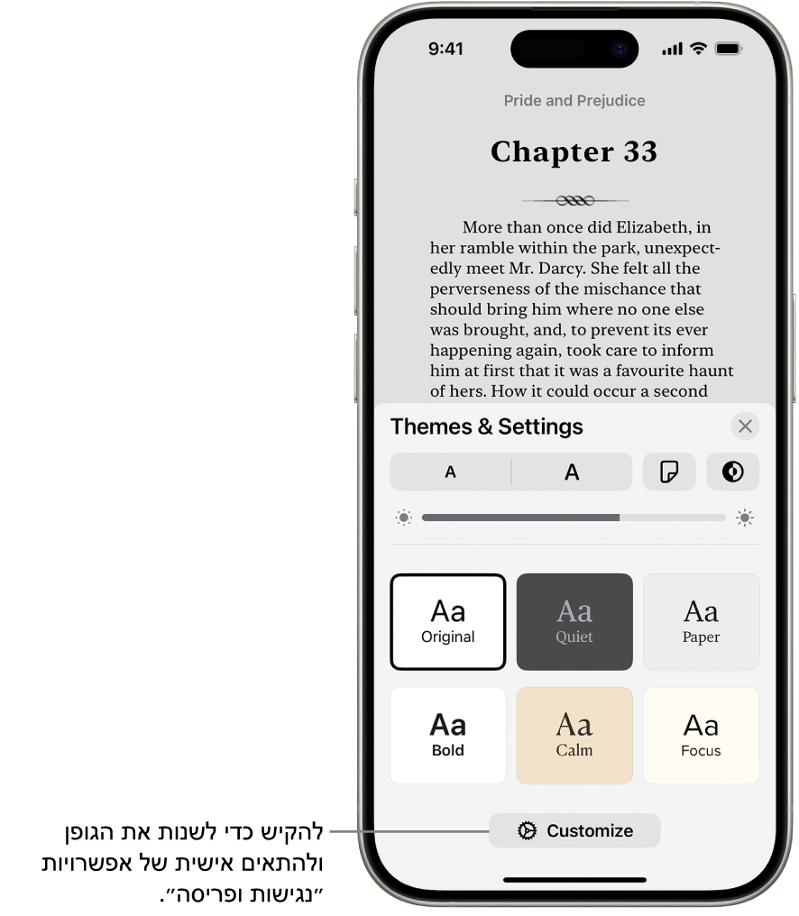 עמוד מתוך ספר בתוך היישום ״ספרים״. האפשרויות ״ערכות נושא והגדרות״ מציגות פקדים עבור גודל הגופן, תצוגת הגלילה, סגנון מעבר עמודים, בהירות וסגנונות של גופנים.