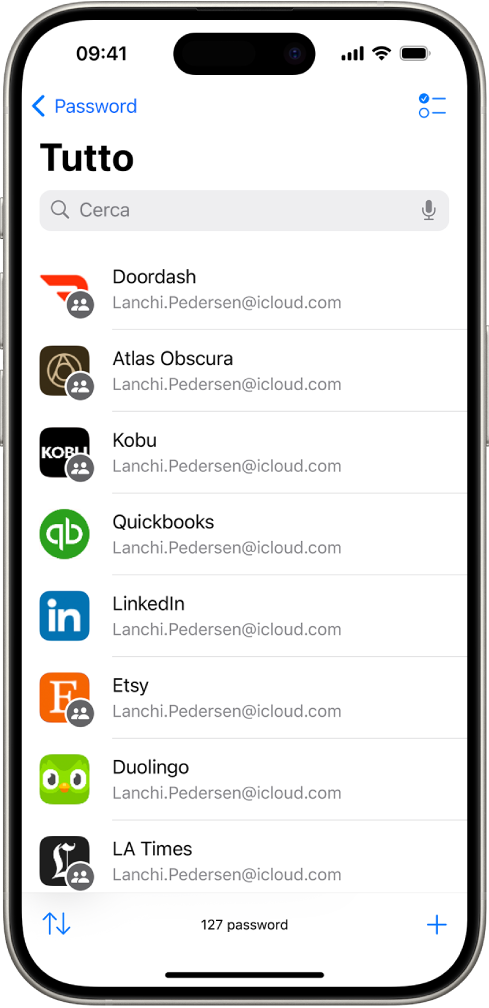 Un elenco di tutti gli account con password che sono salvati nell’app Password.