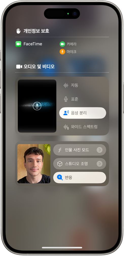 자동, 표준, 음성 분리, 와이드 스펙트럼과 같은 오디오 설정이 표시된 FaceTime 통화의 제어 센터 설정.