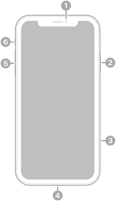 Skats uz iPhone 11 priekšpusi. Priekšējā kamera atrodas augšā pa vidu. Labajā sānā no augšas uz apakšu ir sānu poga un SIM kartes turētājs. Lightning savienotājs atrodas apakšā. Kreisajā pusē no apakšas uz augšu ir skaļuma pogas un slēdzis Ring/Silent.