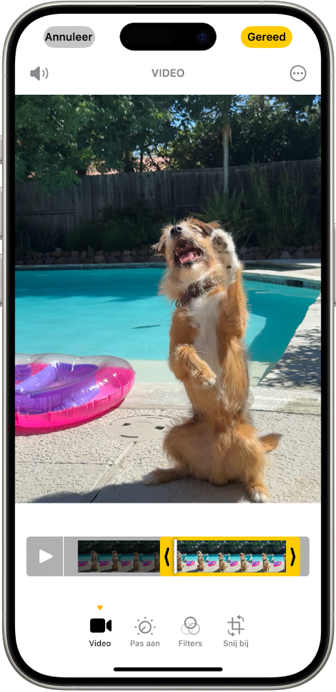 Het bewerkingsscherm in de Foto's-app, met in het midden een video die wordt afgespeeld. De frameviewer onder de video markeert met een gele omtrek de beelden die voor de ingekorte video zijn geselecteerd. Onder in het scherm staan de knoppen 'Video', 'Pas aan', 'Filters' en 'Snij bij'. De knop 'Video' is geselecteerd.