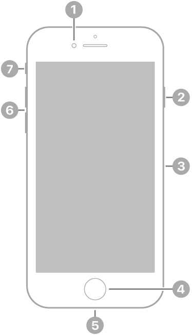 iPhone SE’nin (3. nesil) önden görünüşü. Ön kamera en üstte, hoparlörün sol tarafında. Sağ tarafta yukarıdan aşağıya doğru yan düğme ve SIM tepsisi var. Ana Ekran düğmesi alt ortada. Lightning bağlayıcısı alt kenarda. Sol tarafta yukarıdan aşağıya doğru ses yüksekliği düğmeleri ve Sesli/Sessiz anahtarı var.