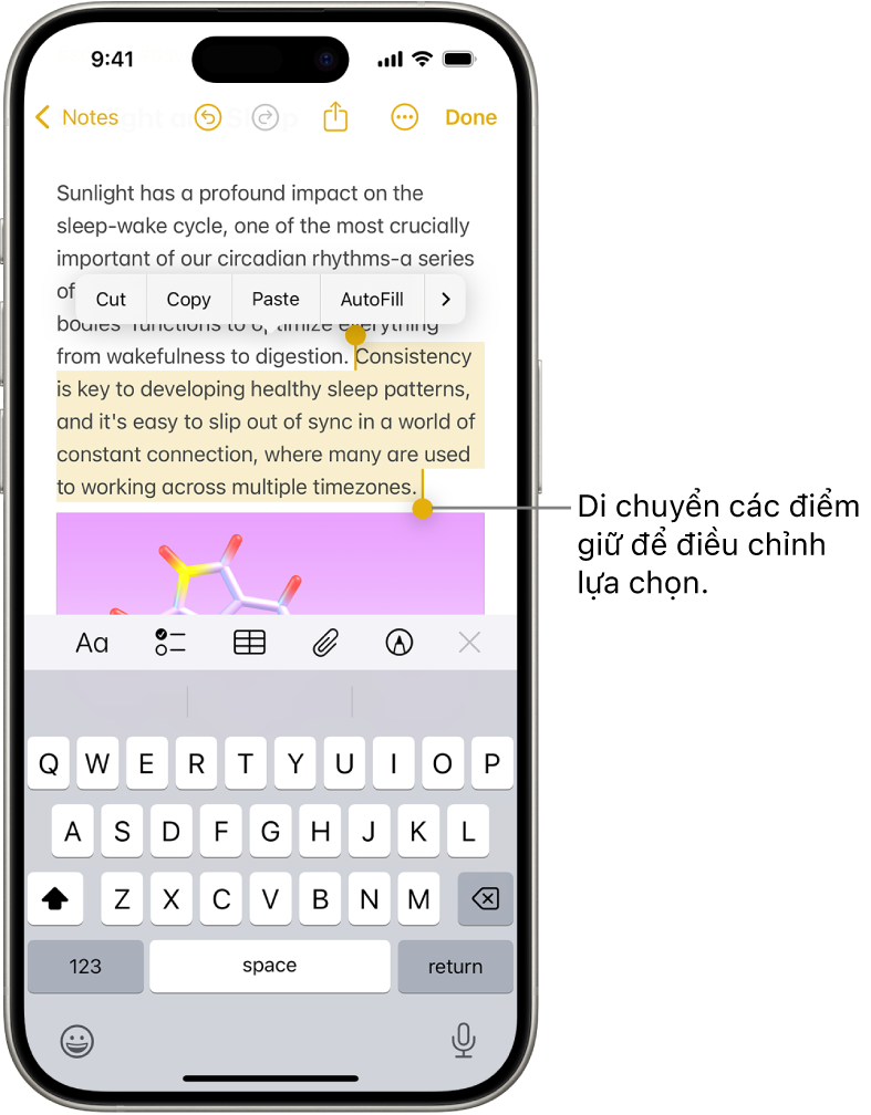 Văn bản được chọn trong một ghi chú trong ứng dụng Ghi chú. Phía trên văn bản được chọn là các nút Cắt, Sao chép, Dán và Tự động điền. Văn bản đã chọn được tô sáng, với các điểm giữ để điều chỉnh phần lựa chọn ở một trong hai đầu.