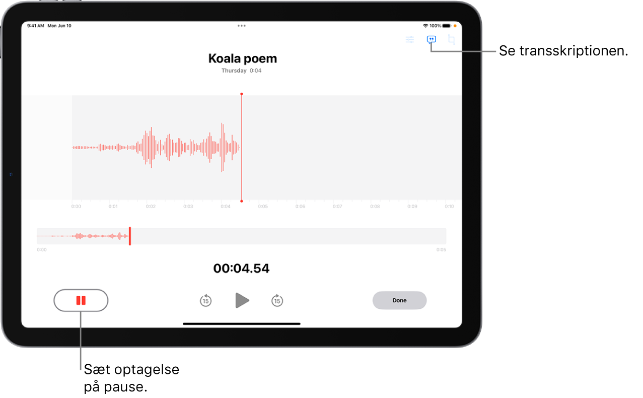 En memooptagelse, der viser en bølgeform til den igangværende optagelse sammen med en tidsindikator, en knap til at sætte optagelsen på pause og en knap til at se transskriptionen.