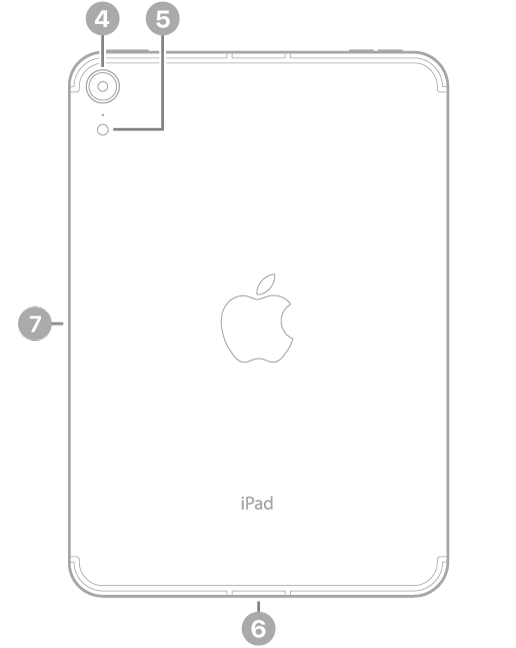 The back view of iPad mini (A17 Pro) with callouts to the rear camera and flash at the top left, the USB-C connector at the bottom center, and the magnetic connector for Apple Pencil on the left.