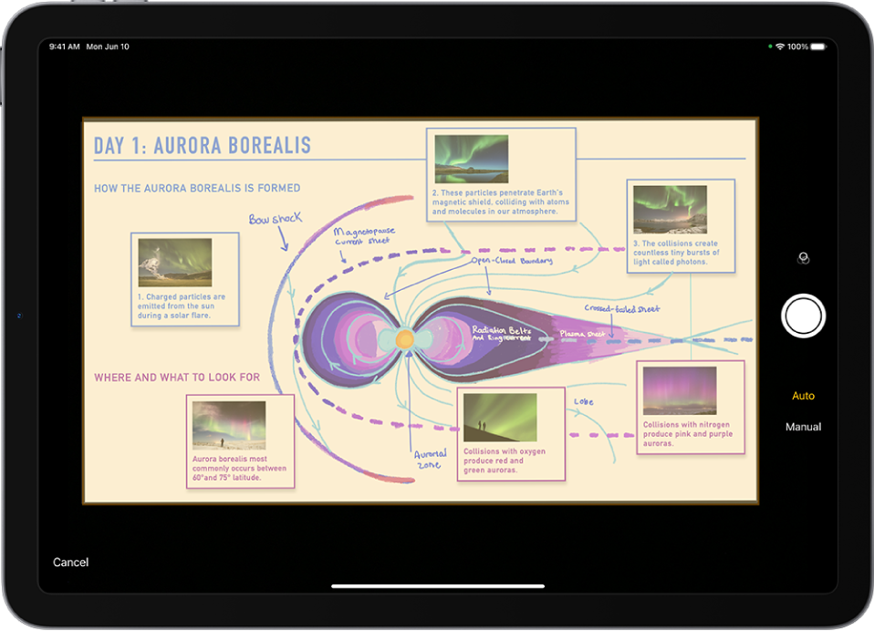 A screen showing a document being scanned.The Take Picture button is on the right.