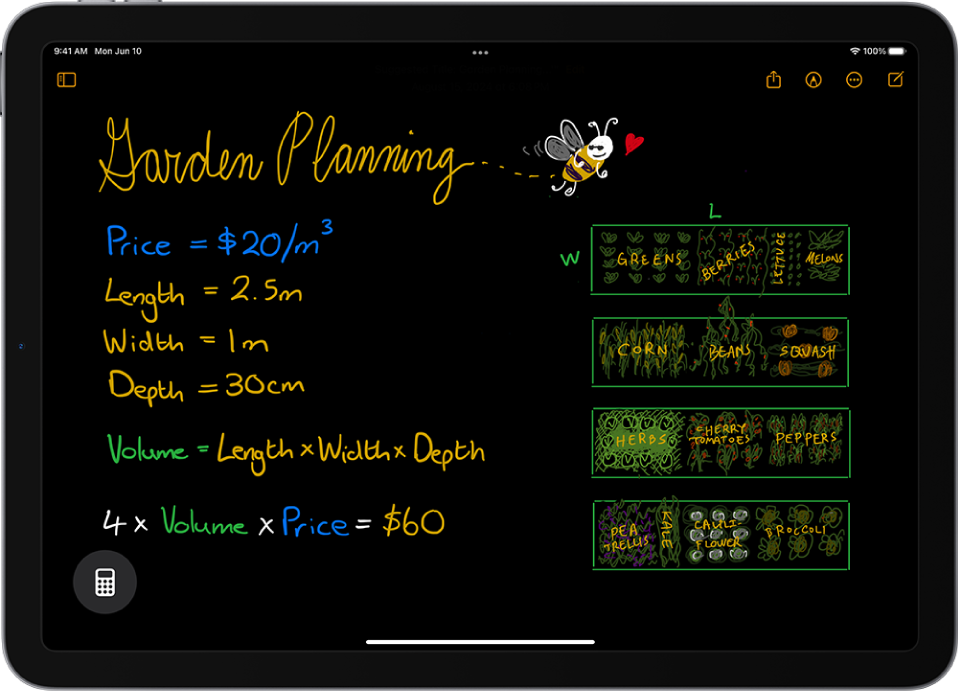 Math Notes in Calculator on iPad showing declared variables, equations, and a drawing.