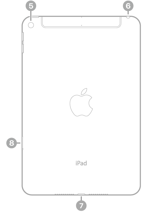Vista posteriore di iPad mini con didascalie relative alla fotocamera posteriore in alto a sinistra, il jack per le cuffie in alto a destra, il connettore Lightning in basso, al centro, e il vano della SIM (Wi-Fi + Cellular), in basso a sinistra.
