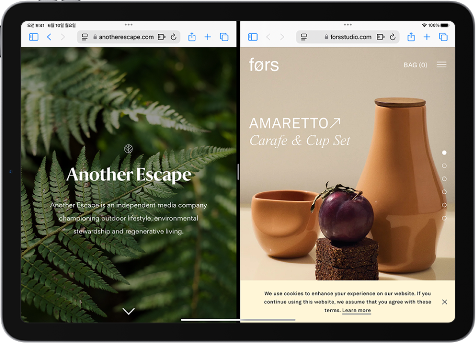 조절 가능한 분리자로 분리된 두 개의 다른 웹 페이지가 화면에 표시됨. 각 웹 페이지의 상단에는 멀티태스킹 제어기 아이콘이 있음.
