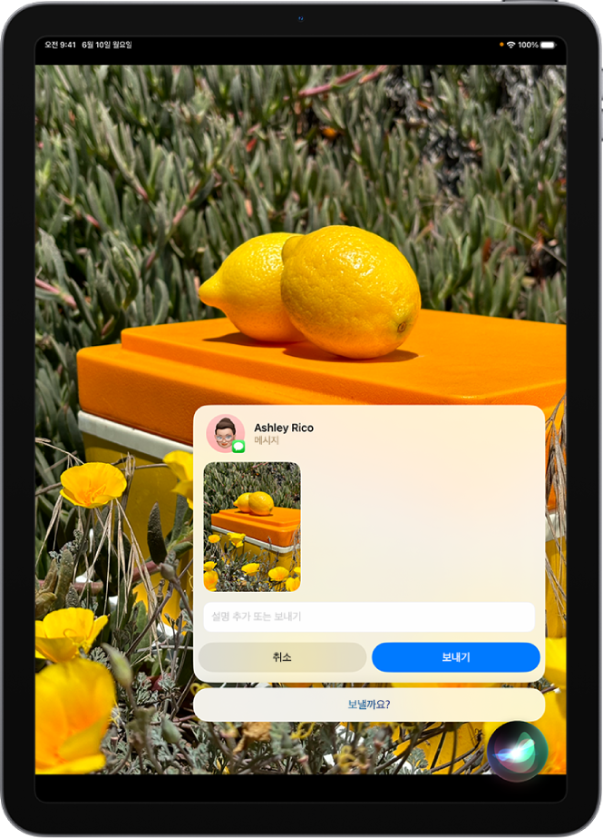 Siri 듣기 앱이 오른쪽 하단 모서리에 있고 그 위에 보낼 준비가 된 문자 메시지 형식으로 Siri의 응답이 표시된 iPad 화면.