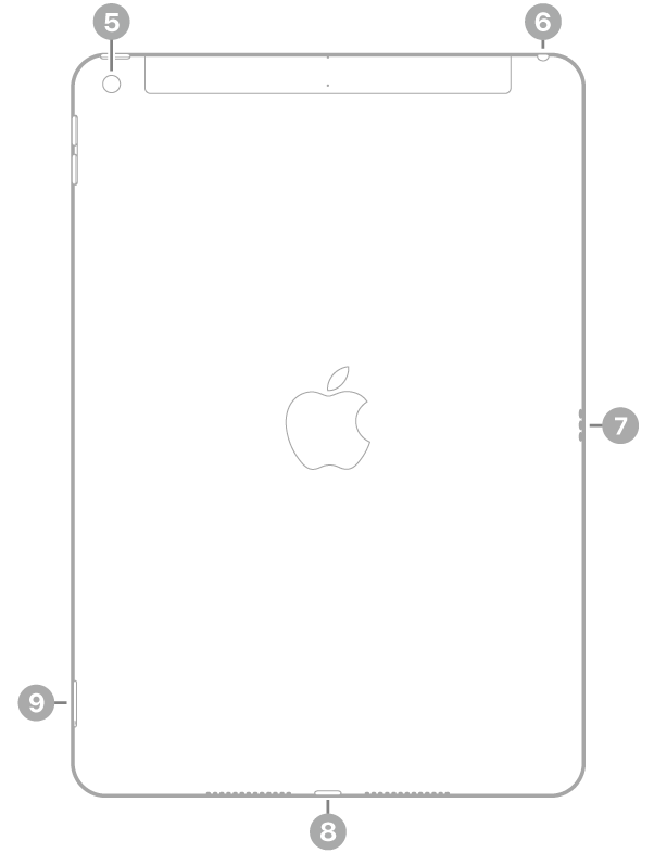 „iPad“ vaizdas iš galo su nuorodomis į galinę kamerą viršuje kairėje, ausinių jungtį viršuje dešinėje, „Smart Connector“ jungtį dešinėje, „Lightning“ jungtį apačioje centre ir SIM kortelės dėklą („Wi-Fi“ ir mobilųjį ryšį palaikantys modeliai) apačioje kairėje.