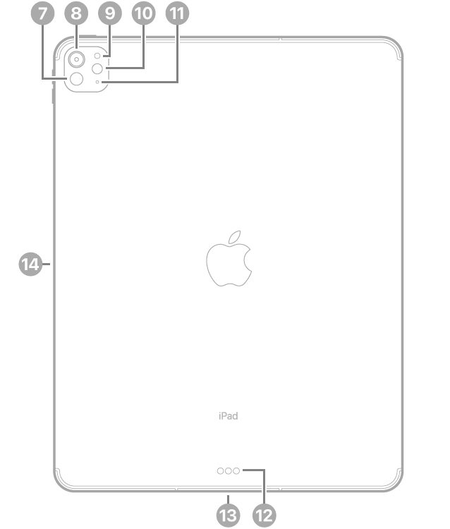 Achterkant van de 13-inch iPad Pro (M4) met bijschriften voor de LiDAR-scanner, de camera aan de achterkant, de omgevingslichtsensor aan de achterkant, de flitser en de microfoon linksbovenaan, de Smart Connector en USB‑C-connector in het midden aan de onderkant en de magnetische connector voor de Apple Pencil aan de linkerkant.